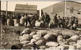 Una imatge de la policia confiscant alcohol il·legal l'any 1925 Una imatge de la policia confiscant alcohol il·legal l'any 1925
