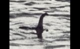 Foto falsa del monstre del llac Ness, 21 d'abril del 1934 -  Wikimedia Commons