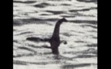 Foto falsa del monstre del llac Ness, 21 d'abril del 1934 - Wikimedia Commons Foto falsa del monstre del llac Ness, 21 d'abril del 1934 - Wikimedia Commons
