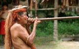 El coneixement indígena de l'Amazònia "és necessari per a les alternatives sostenibles" -  Jialiang Gao