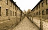 Passadís del camp de concentració d'Auschwitz -  Pixabay