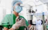 Laboratori genètic - Thinkstock Laboratori genètic - Thinkstock