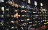 Detall d'una de les exposicions virtuals dedicada als minerals - National Museum of Natura and Science Detall d'una de les exposicions virtuals dedicada als minerals - National Museum of Natura and Science