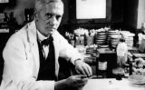 Alexander Fleming - Wikimedia Commons Alexander Fleming - Wikimedia Commons