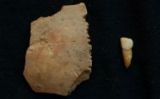 Un parietal i una dent atribuïts a un nen neandertal descoberts a la cova de les Teixoneres -  Florent Rivals / IPHES