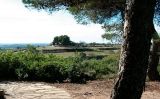 Cota 481 de Vilalba dels Arcs -  Wikipedia