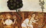 Un camp de conreu al Tacuinum Sanitatis Un camp de conreu al Tacuinum Sanitatis