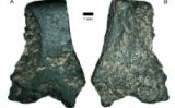 Fragment de la destral més antiga, trobada a Austràlia, vist al microscopi -  Australian Archaeology