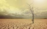 La desertització és una de les conseqüències del canvi climàtic La desertització és una de les conseqüències del canvi climàtic