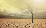 Canvi climatic