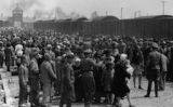 Arribada de jueus hongaresos a Auschwitz a l'estiu de 1944 Arribada de jueus hongaresos a Auschwitz a l'estiu de 1944