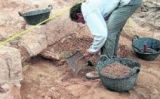 Excavació al jaciment de Camps, a Fonollosa Excavació al jaciment de Camps, a Fonollosa