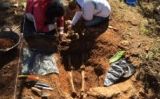 Excavació d'una fossa a la serra de Riés Excavació d'una fossa a la serra de Riés