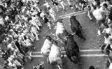 Una imatge dels Sanfermines de l'any 2005 - Baltasar García Una imatge dels Sanfermines de l'any 2005 - Baltasar García