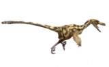 Reconstrucció de dromeosàurid - Óscar Isidro / ICP Reconstrucció de dromeosàurid - Óscar Isidro / ICP