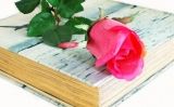 Aquesta Sant Jordi, 'El mon ho ha de saber' i una rosa Aquesta Sant Jordi, 'El mon ho ha de saber' i una rosa
