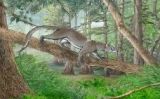 Reproducció del 'Dormaalcyon latouri' - C. Letenneur / P. Golinvaux Reproducció del 'Dormaalcyon latouri' - C. Letenneur / P. Golinvaux