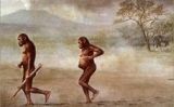 'Australopithecus afarensis' 'Australopithecus afarensis'