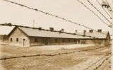 El camp de concentració d'Auschwitz -  Wolfkamp (Shutterstock)
