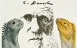 Les descobertes més antigues Les descobertes més antigues