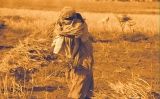 La vida als camps de refugiats La vida als camps de refugiats