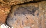 Un cérvol a una de les pintures del jaciment de La Vall Un cérvol a una de les pintures del jaciment de La Vall