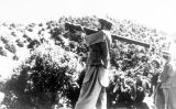 Un mujahidí fa una demostració d'un míssil antiaeri SA-7 el 26 d'agost de 1988 Un mujahidí fa una demostració d'un míssil antiaeri SA-7 el 26 d'agost de 1988
