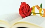 Llibres i roses de Sant Jordi