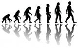 Els 'Australopithecus afarensis' ja havien consolidat el bipedisme Els 'Australopithecus afarensis' ja havien consolidat el bipedisme