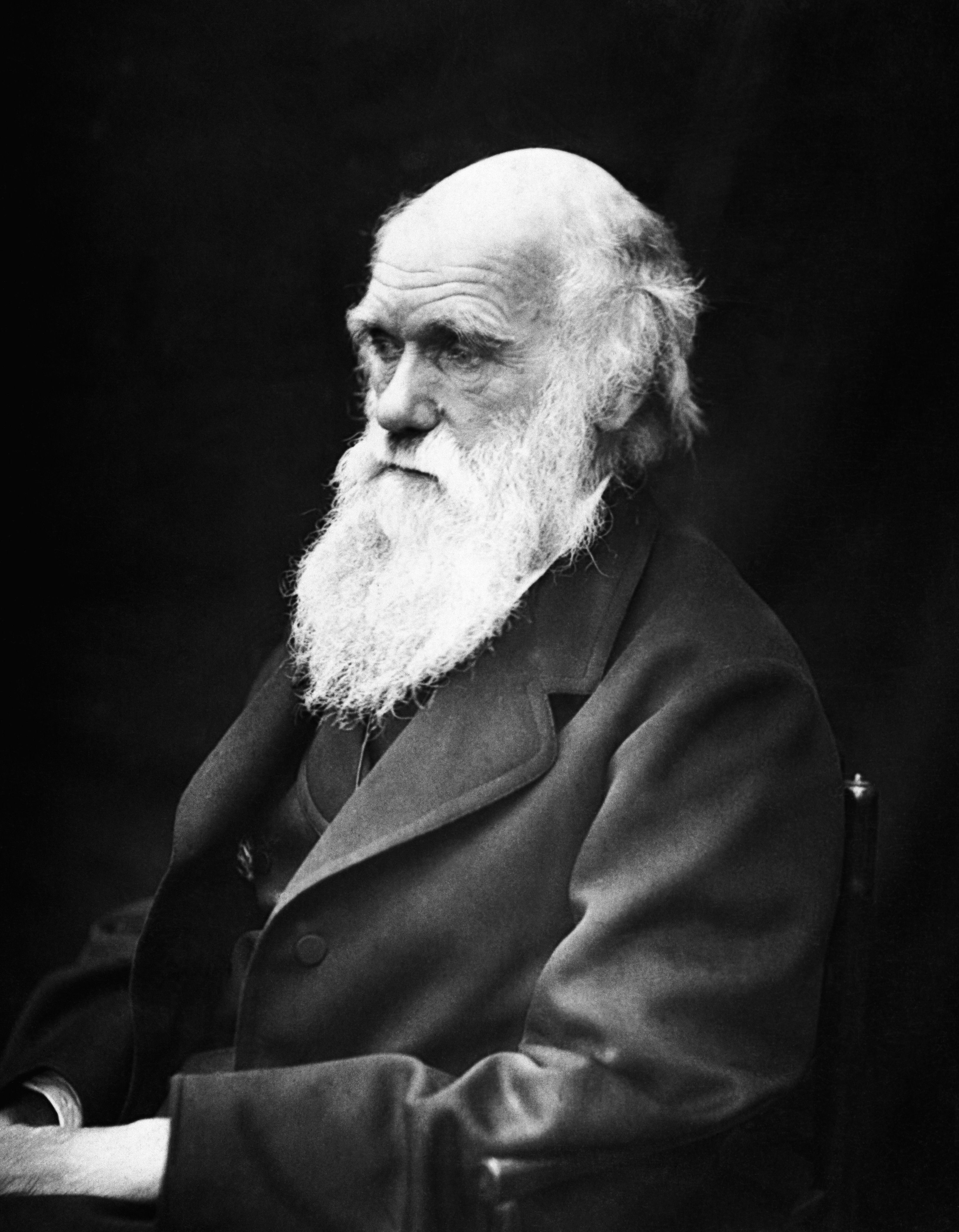 Retrat de Charles Darwin