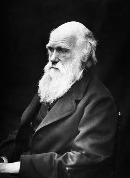 Retrat de Charles Darwin Retrat de Charles Darwin