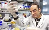 El paleogenetista Carles Lalueza-Fox El paleogenetista Carles Lalueza-Fox
