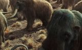 Escena amb mamuts de '10.000 BC' Escena amb mamuts de '10.000 BC'