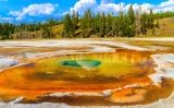 Parc Nacional de Yellowstone Parc Nacional de Yellowstone