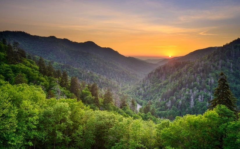 Les grans muntanyes fumejants, al parc nacional de les Smoky Mountains