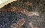 Mosaic amb una morena Mosaic amb una morena