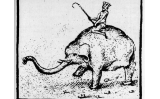 Dibuix del segle XVI de Manuel I amb l'elefant Hanno Dibuix del segle XVI de Manuel I amb l'elefant Hanno