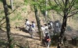 Càrrega final borbònica durant les III Jornades de Recreació Històrica del Combat d’Arbúcies, el 3 d'abril de 2016 Càrrega final borbònica durant les III Jornades de Recreació Històrica del Combat d’Arbúcies, el 3 d'abril de 2016