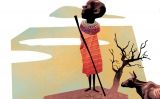 Il·lustració de Danide Il·lustració de Danide