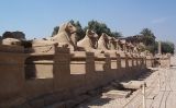 Estàtues de Ra al temple de Karnak Estàtues de Ra al temple de Karnak