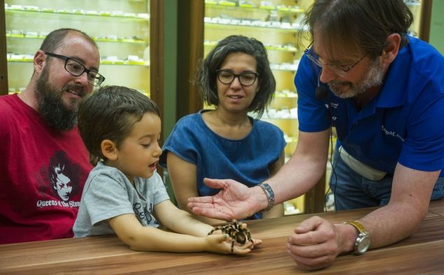 Els més petits van poder viure l'experiència de tenir una taràntul·la a les mans