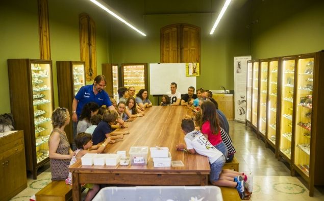 Taller d'insectes al Museu de Ciències Naturals "La Tela"