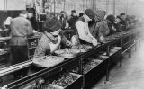 Treballadors a la primera cadena de muntatge del món a la planta de Highland Park, a Michigan, el 1913 Treballadors a la primera cadena de muntatge del món a la planta de Highland Park, a Michigan, el 1913