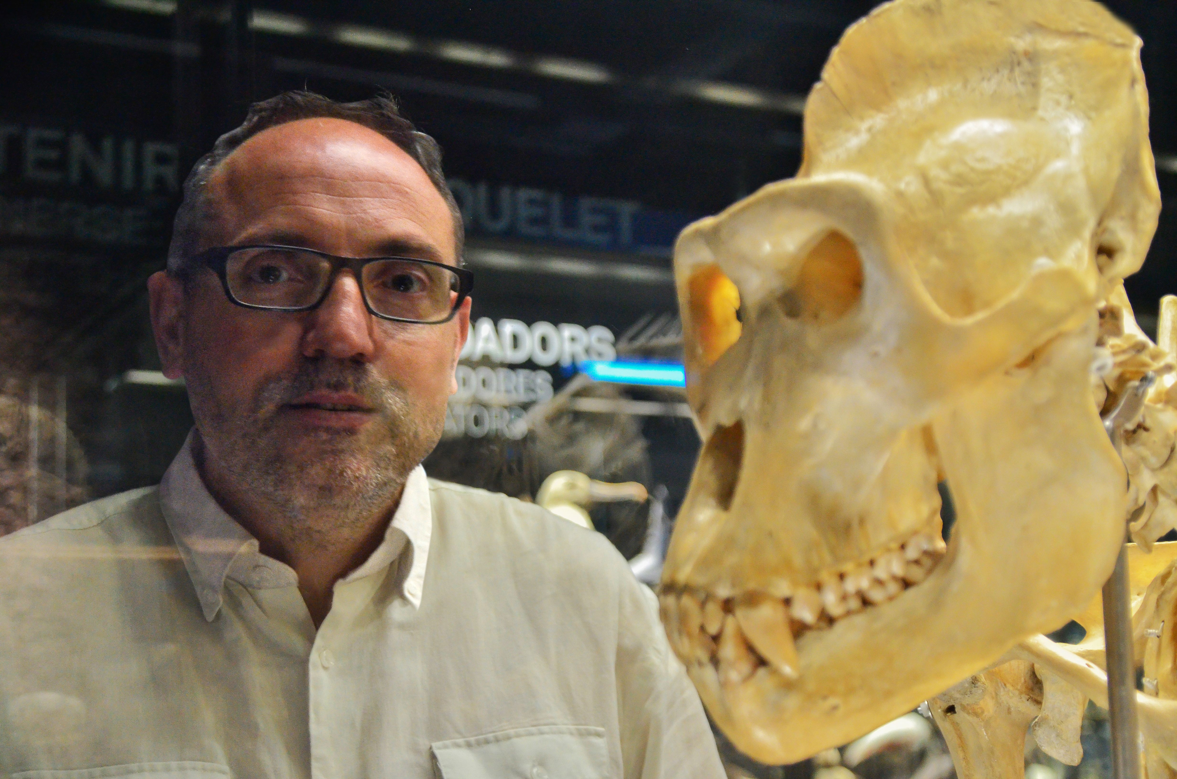 L'arqueòleg Jordi Serrallonga