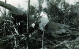 Restes de l'avió de la companyia anglesa Dan Air Restes de l'avió de la companyia anglesa Dan Air
