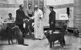 El doctor Jaume Ferran Clua provant la seva millora de la vacuna de la ràbia amb gossos El doctor Jaume Ferran Clua provant la seva millora de la vacuna de la ràbia amb gossos