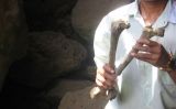 Restes de les víctimes dels Khmers roigs a la província de Kompot, a Cambodja Restes de les víctimes dels Khmers roigs a la província de Kompot, a Cambodja