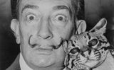 Retrat de l'artista empordanès Salvador Dalí Retrat de l'artista empordanès Salvador Dalí