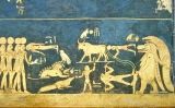 Pintura que representa el cel nocturn, al sostre de la cambra funerària de Sethi I Pintura que representa el cel nocturn, al sostre de la cambra funerària de Sethi I