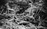 Soldats alemanys morts després de l'explosió d'una mina durant la batalla de Messines, el 1917 Soldats alemanys morts després de l'explosió d'una mina durant la batalla de Messines, el 1917